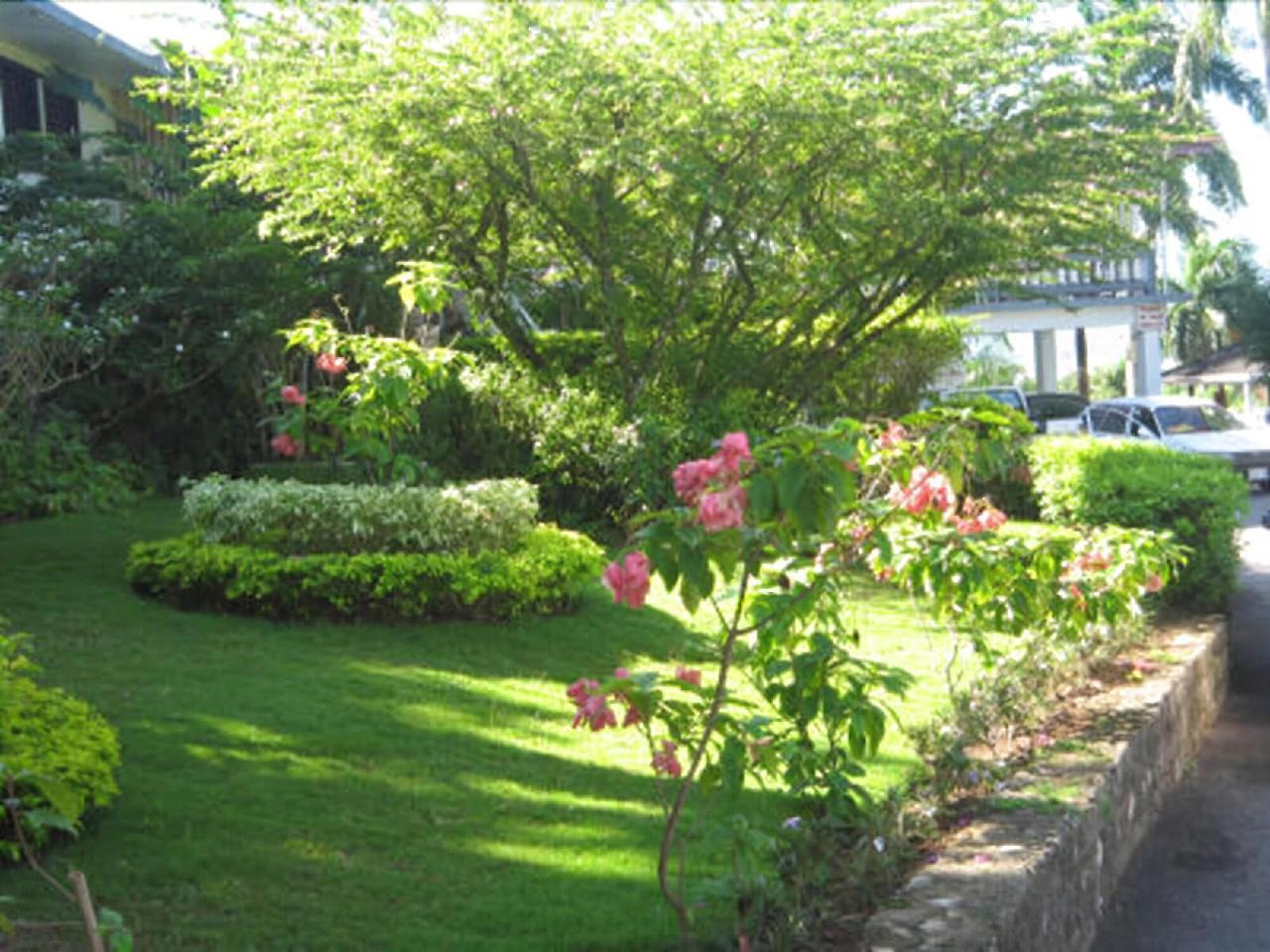 Paradise Brandon Hill Guest House Montego Bay Exterior photo