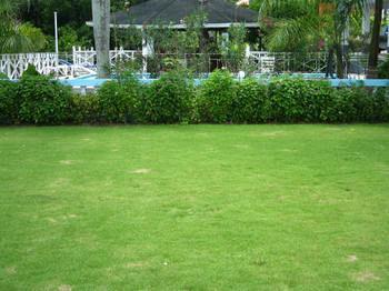 Paradise Brandon Hill Guest House Montego Bay Exterior photo