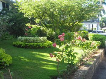 Paradise Brandon Hill Guest House Montego Bay Exterior photo